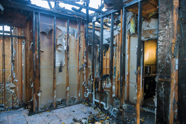 Professional Soot Cleanup technician working in Dover, FL