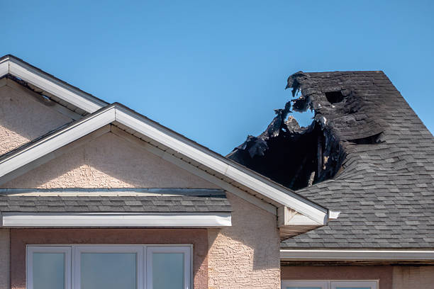 Top rated local Soot Cleanup specialists in Dover, FL